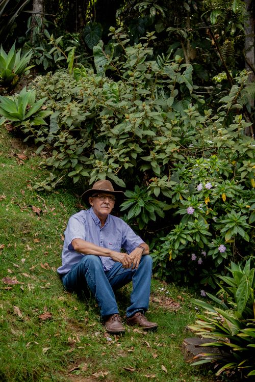 Free A senior man in a hat sits in a vibrant garden surrounded by green plants and flowers. Stock Photo