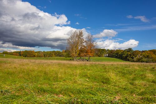 Free Tranquil autumn scene in Southborough, MA with grassy fields and vibrant trees under a bright sky. Stock Photo