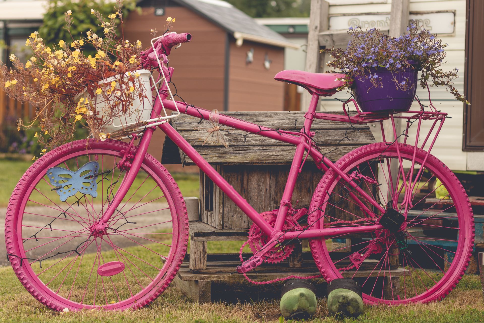 A vibrant pink bicycle adorned with flowering planters set in an outdoor garden area.