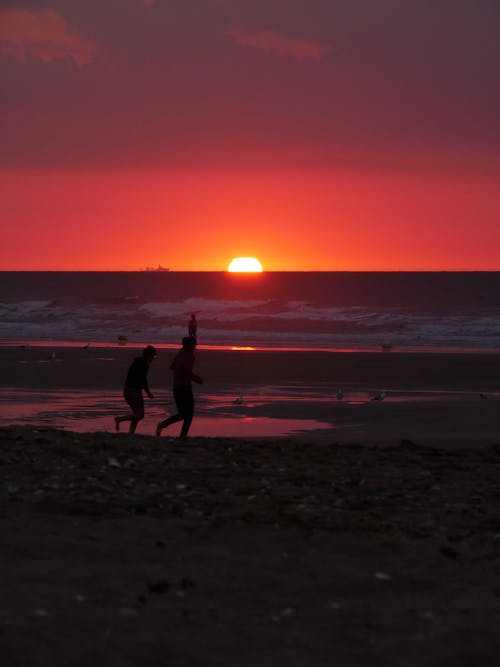 คลังภาพถ่ายฟรี ของ ช่วงแสงสีทอง, ชายหาด, ซิลูเอตต์