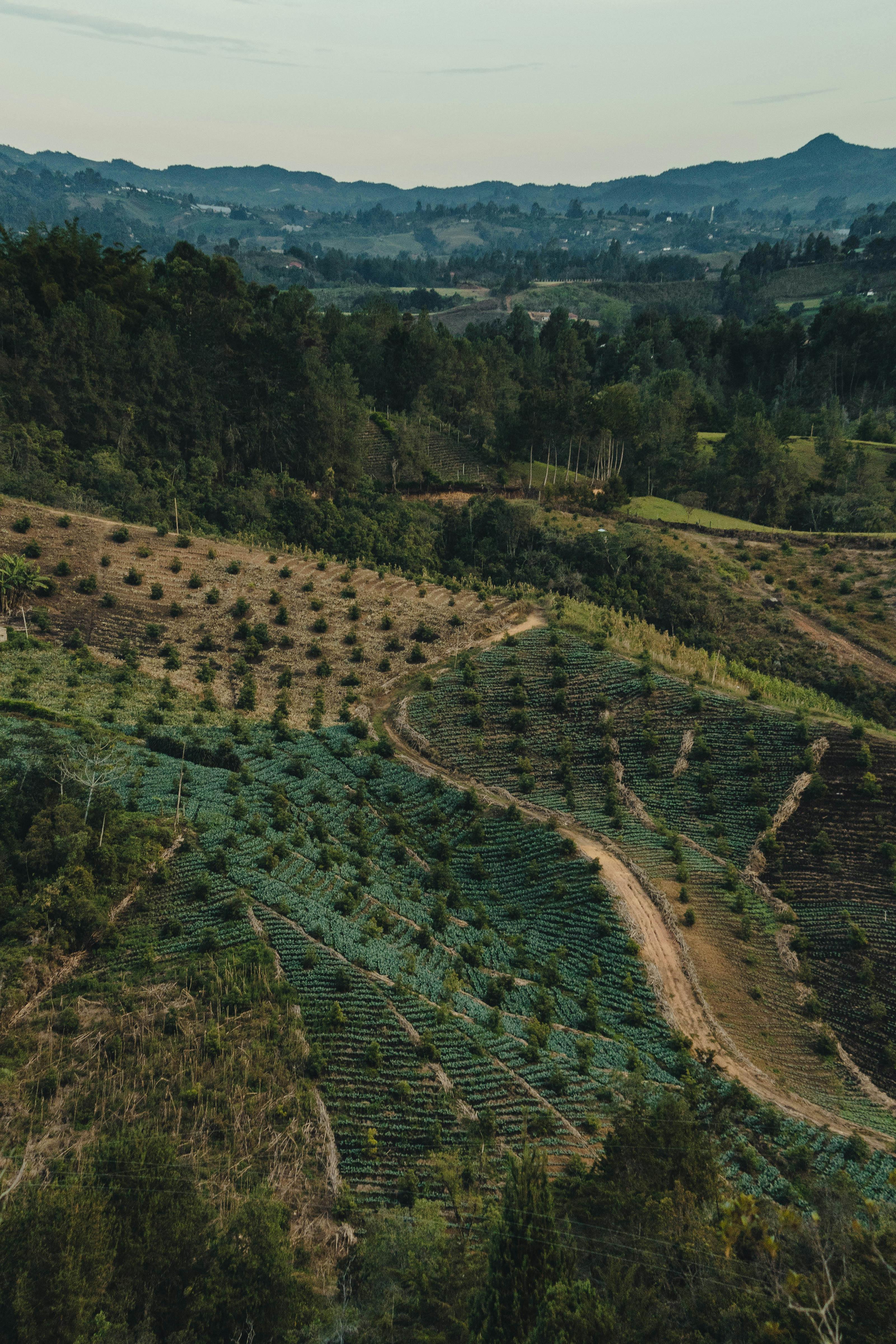 Bird's eye view of lush agricultural fields and forested hills in a serene countryside setting.