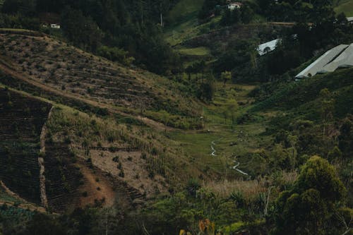 Çiftlik, çim, dağlar içeren Ücretsiz stok fotoğraf