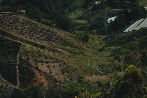 Gratis stockfoto met akkerland, bergen, boerderij