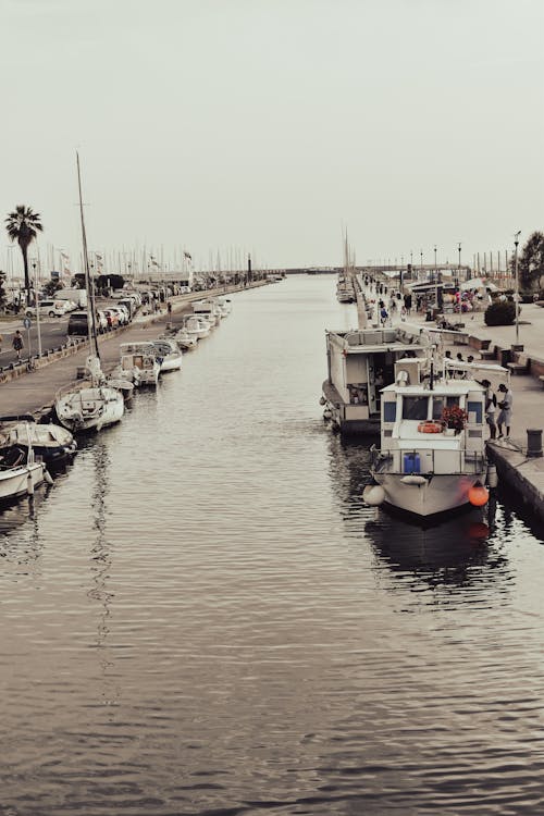 Foto profissional grátis de barcos, doca, marina