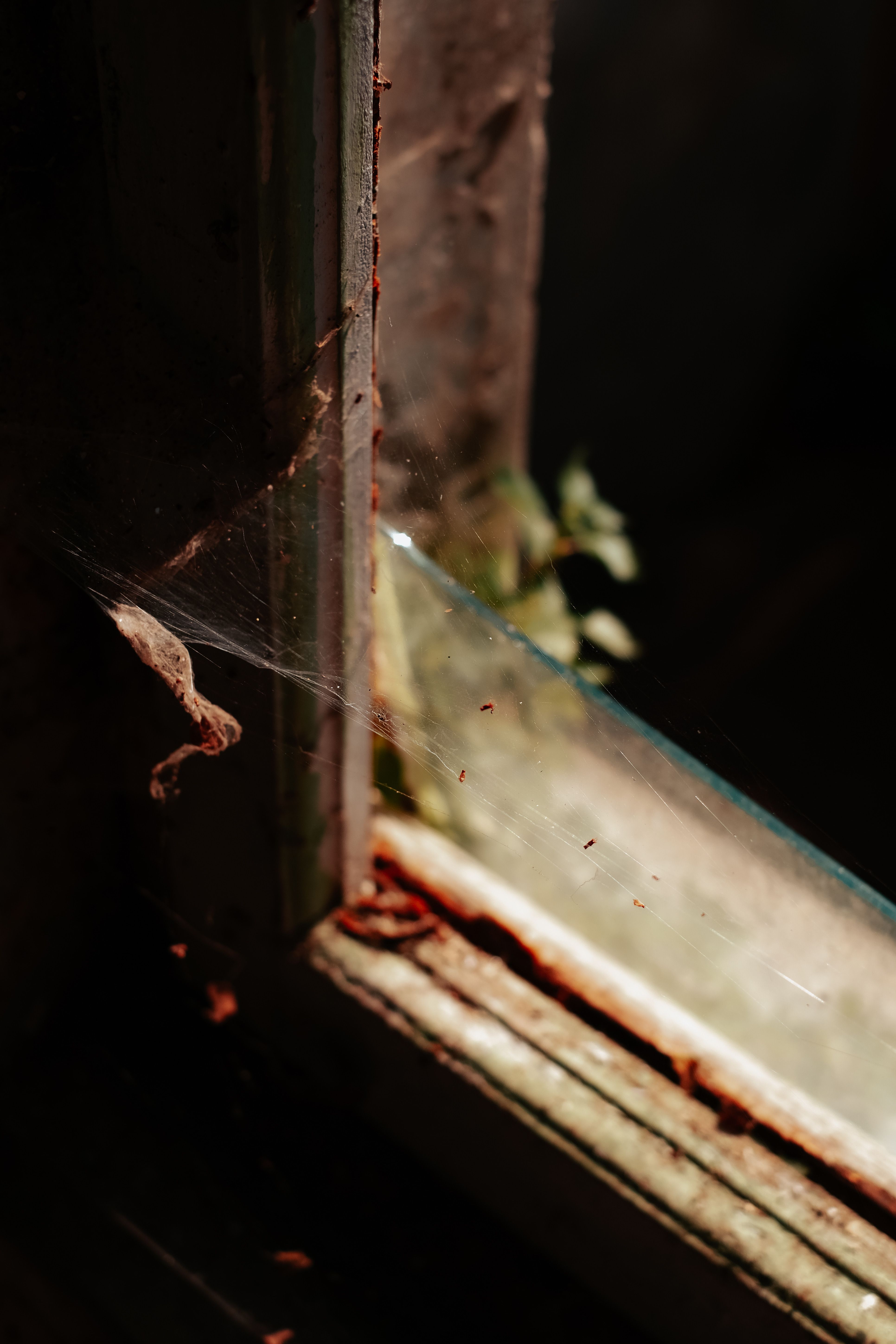 Dark Web Exploring Photos, Download The BEST Free Dark Web Exploring ...