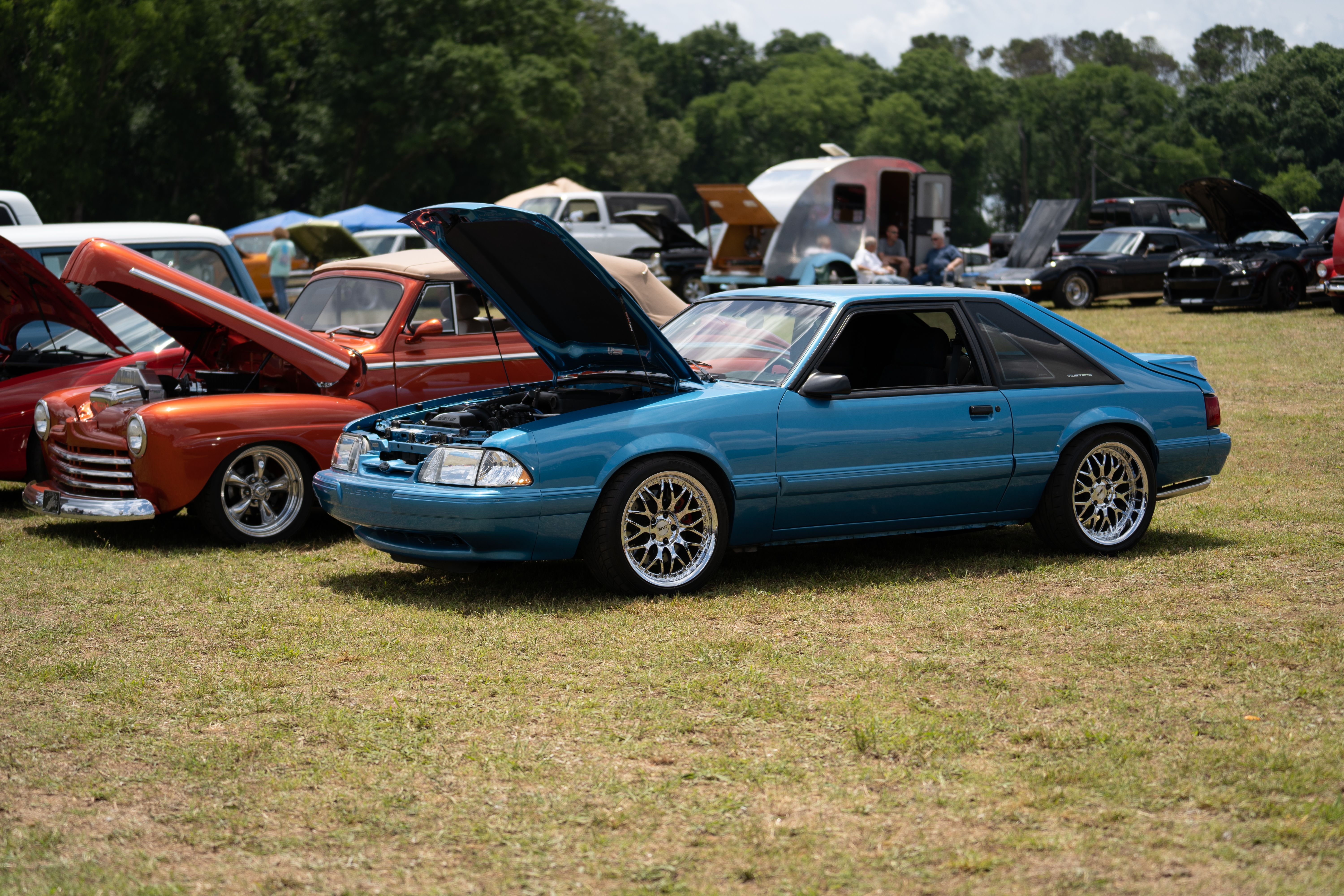 Classic Cars Parked on an Open Grass Field
