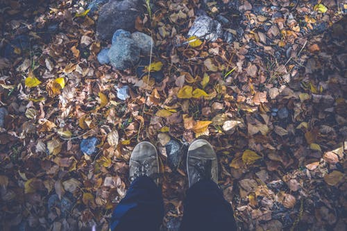 Person in Black Pants and Gray Low Top Shoes Stand on Dried Leaves and Rocks during Daytime
