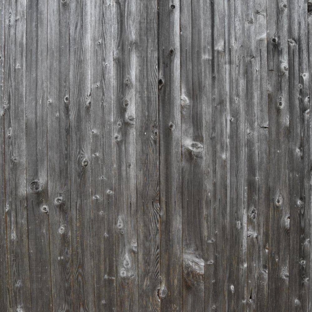 Fence and Decking Painting in Totteridge — walls rolled to an even, flat finish