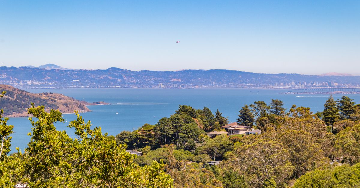 Captivating view of a lush bay with distant cityscape under a clear blue sky.