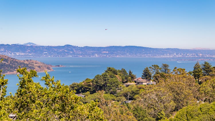 Aerial Photo Of Forest And Sea Bay Landscape