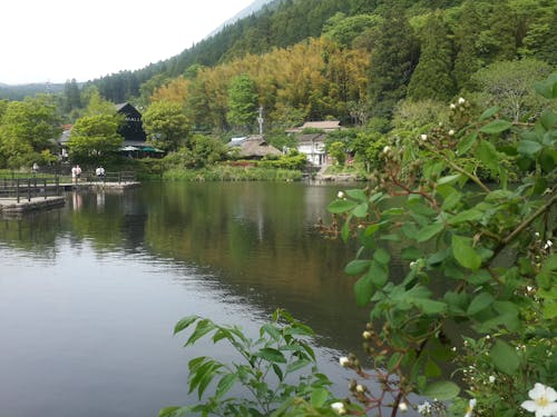 日本, 湯布院 的 免費圖庫相片