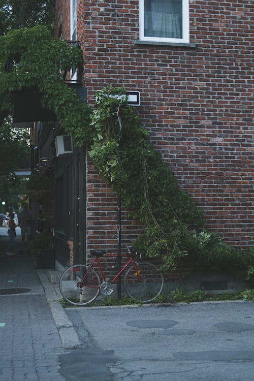 Free stock photo of bicycle, street Stock Photo