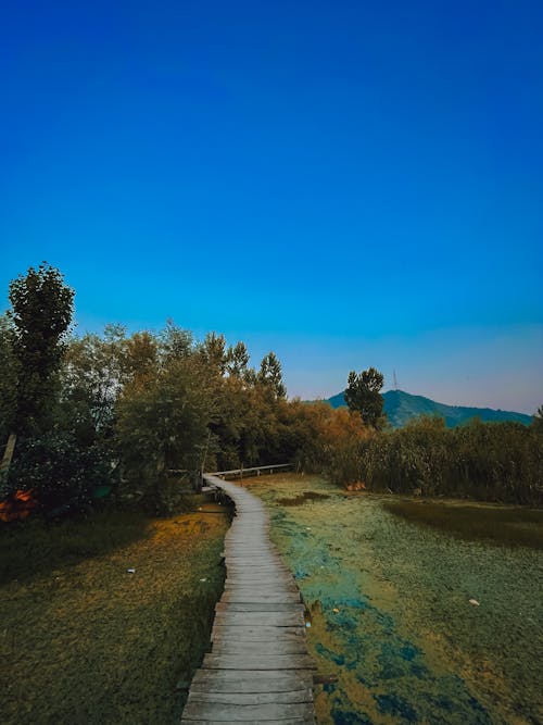 A Wooden Pathway Between  Green Field Under Blue Sky