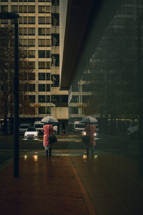 Fotobanka s bezplatnými fotkami na tému chodník, človek, dáždnik
