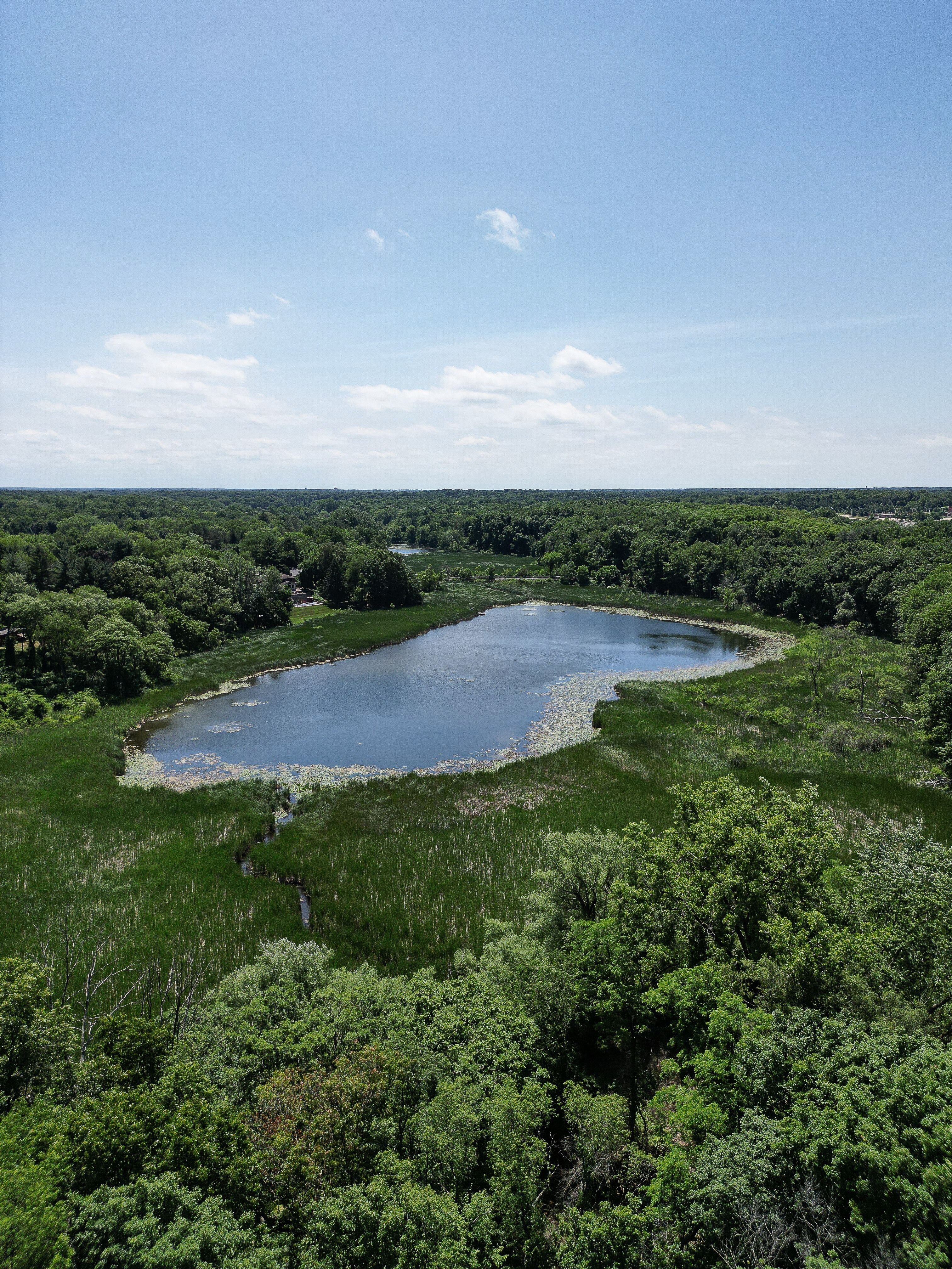 A serene aerial shot of a verdant landscape and tranquil lake in Kalamazoo, Michigan.