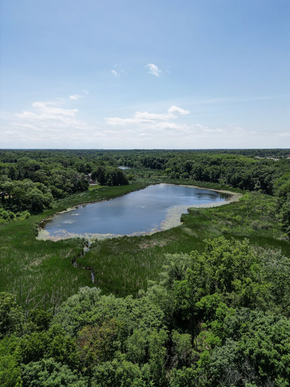 A serene aerial shot of a verdant landscape and tranquil lake in Kalamazoo, Michigan.