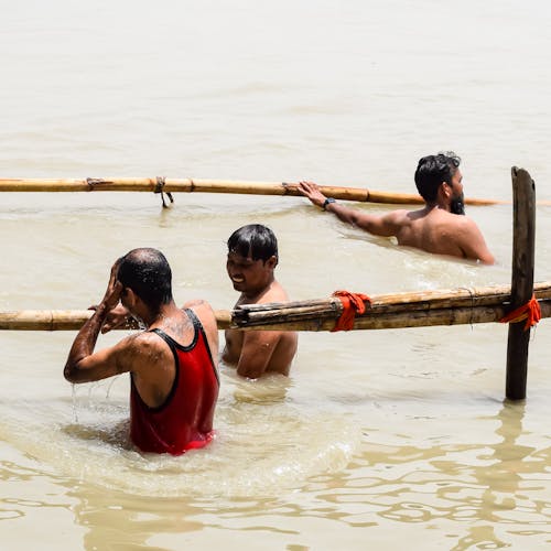 Men Swimming With Wooden Poles in a River