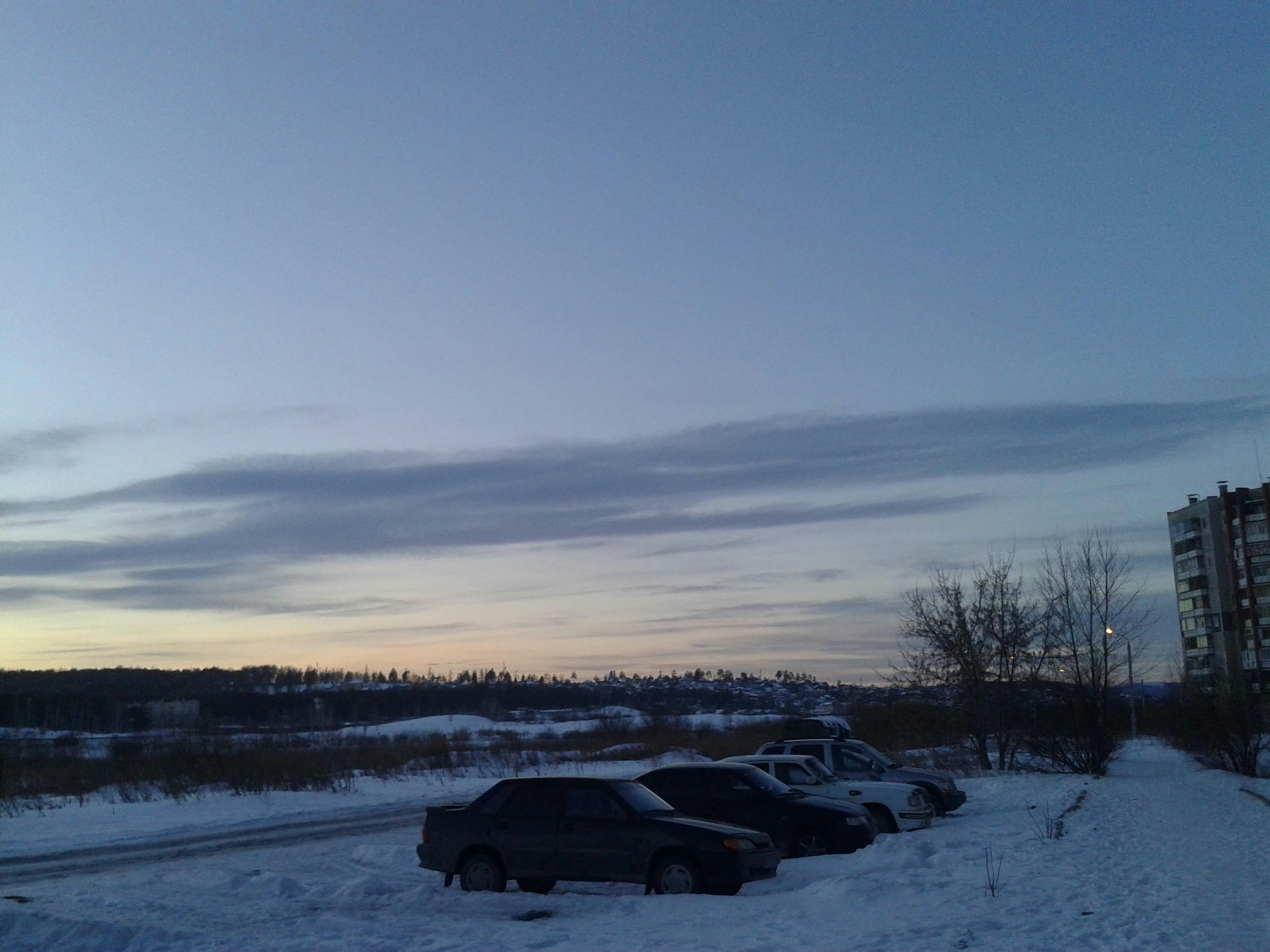 A close-up of a delicate flower in a field of green grass.