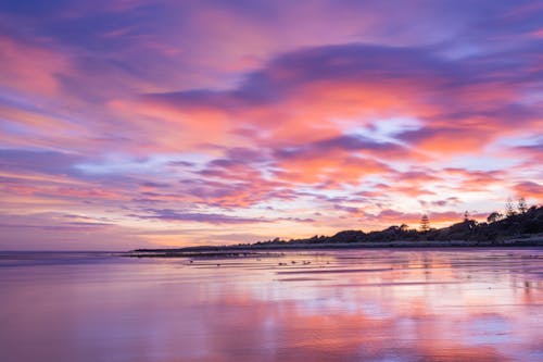 Photo of Ocean During Dawn