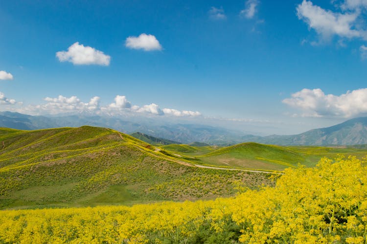 Landscape With Mountains, Hills And Meadows