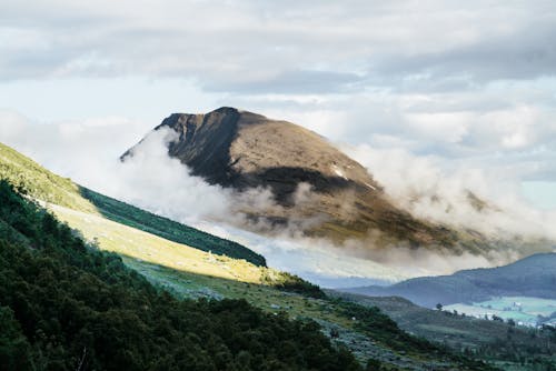 Free Gratis lagerfoto af bjerg, bjerg baggrund, bjergskov Stock Photo