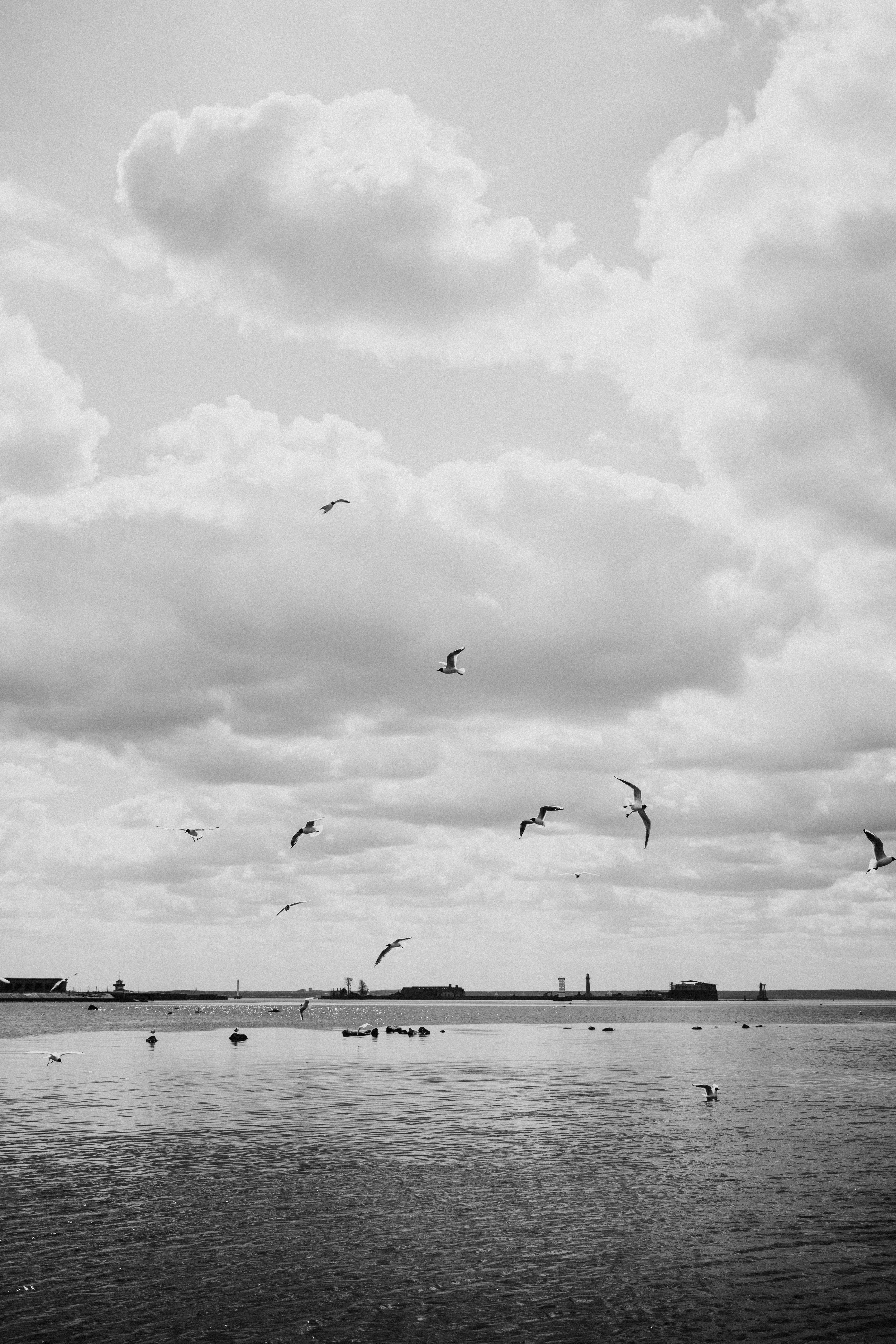 Monochrome ocean scene with seagulls flying under a cloudy sky.