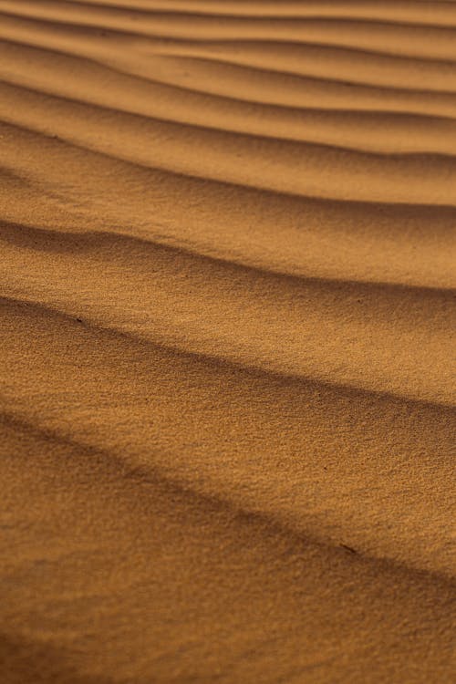 Základová fotografie zdarma na téma duna, léto, písek