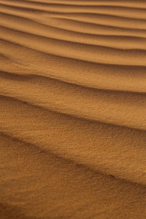 Free Explore the captivating sand dunes of Dubai with this textured desert landscape. Stock Photo