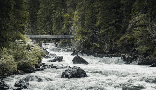 Rushing river under a bridge in a forested area of Tirol, Austria.