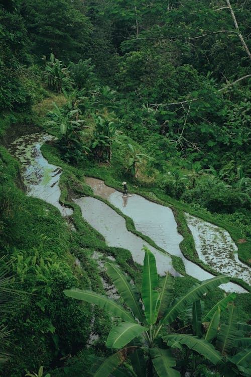 Agriculture in the Mountains