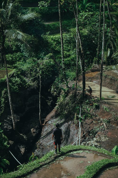 A High Angle Shot of a Person Standing on a Cliff