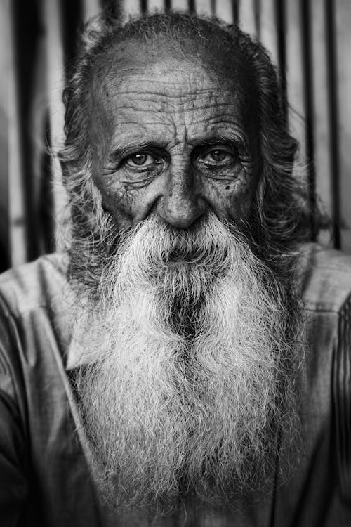 Portrait of an Elderly Man with a Long Gray Beard 