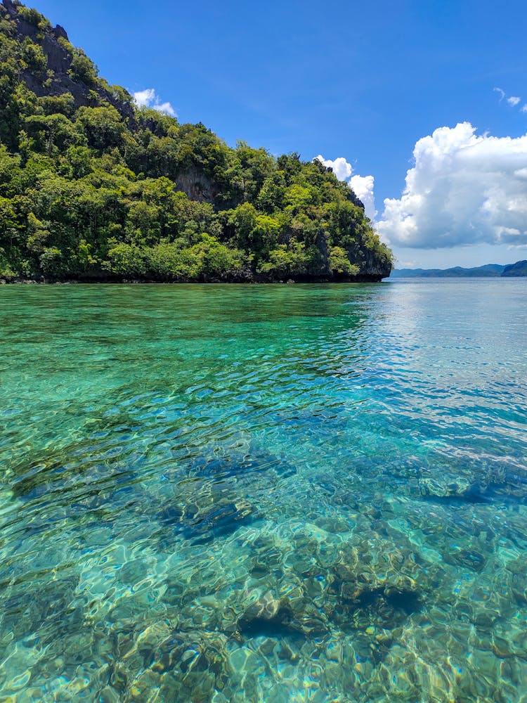 Beach In Palawan, Philippines