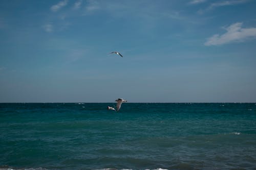 Gratis lagerfoto af bjerge, hav, hav havet