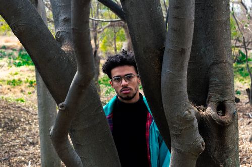 Free stock photo of fashion, fashion model, forest Stock Photo