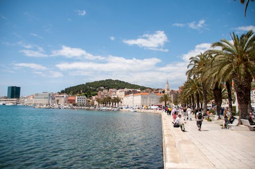 People Walking on Sidewalk Near Body of Water