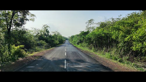 Free stock photo of chhattisgarh, drive, greatview