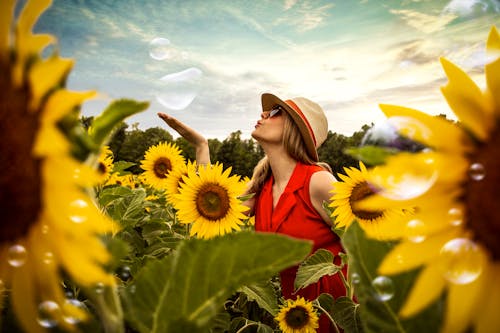 Free stock photo of blowing, blowing bubbles, farm