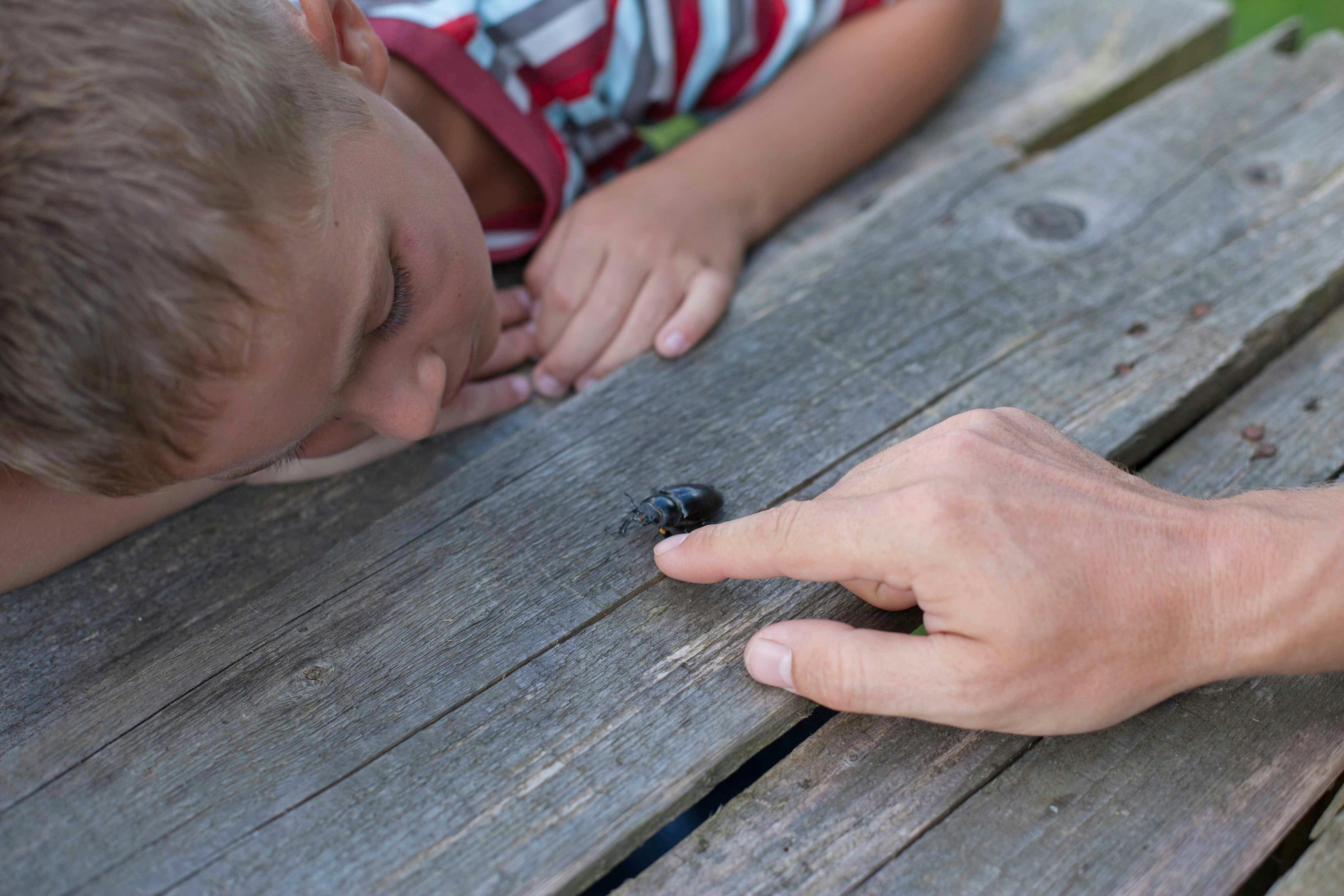 Why does my son feel lonely?