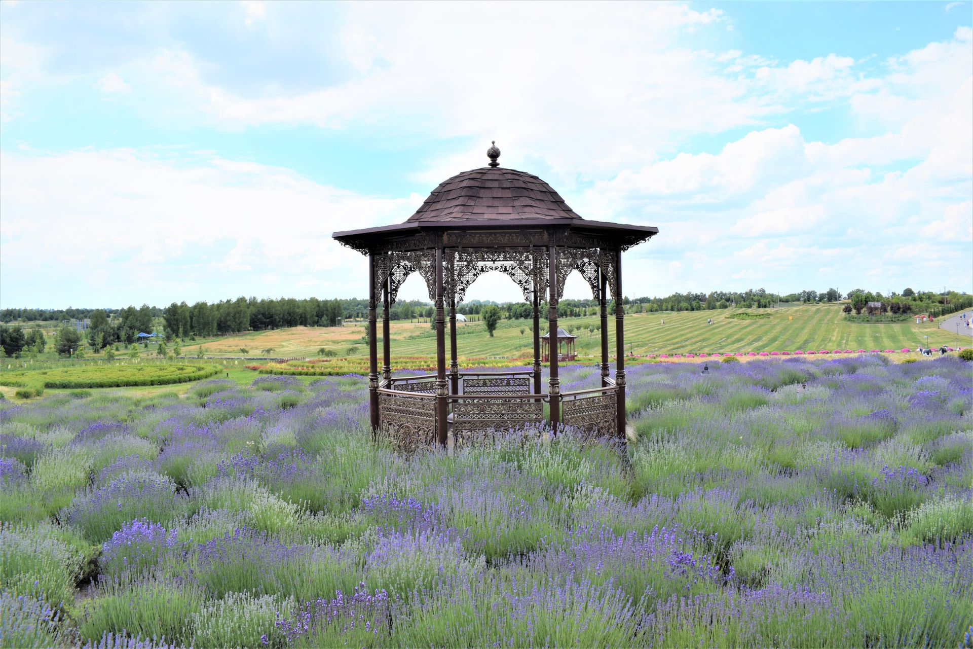 Beautiful rustic gazebo set amidst lush lavender fields under a bright sky.