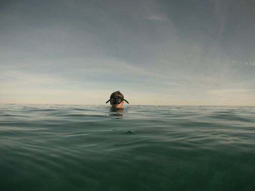 Free A person wearing goggles snorkeling in the open sea under a clear sky. Stock Photo