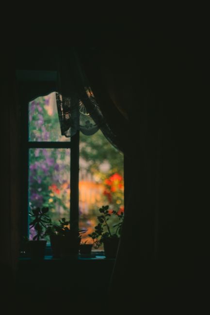 Moody view through a dimly lit window with potted plants silhouetted against colorful garden.