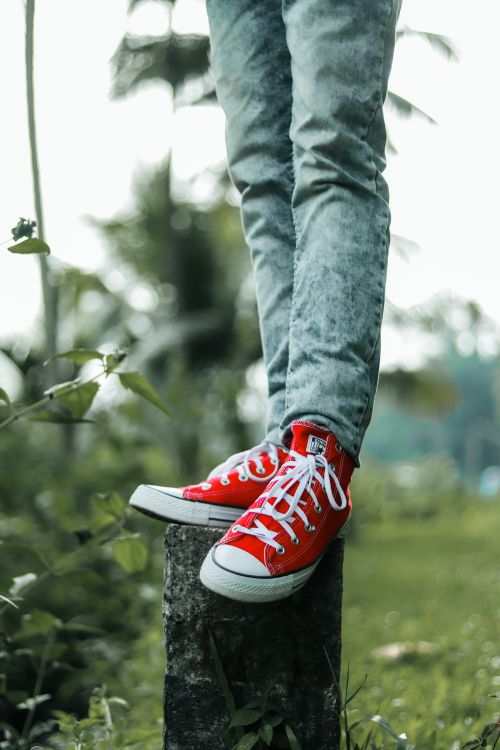 Free Legs in red sneakers on a tree stump in a lush outdoor setting in India. Stock Photo