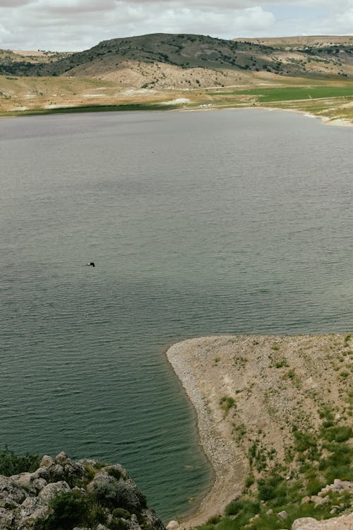 Aerial View of a Lake near the Mountains