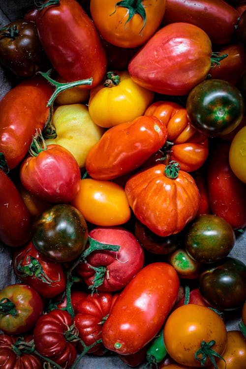 A Variety of Colorful Fruits in Close-up Shot