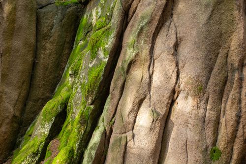 Free Close-up shot of a moss-covered rock formation in natural sunlight. Stock Photo