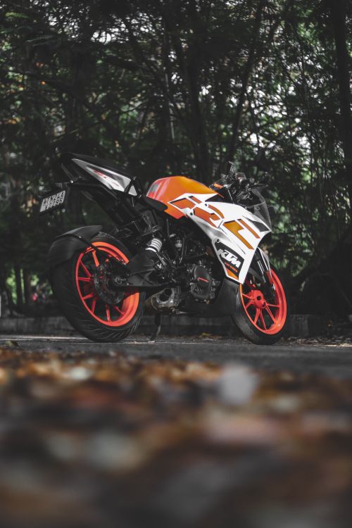 Free Sleek KTM motorcycle with orange accents parked in a lush outdoor setting. Stock Photo