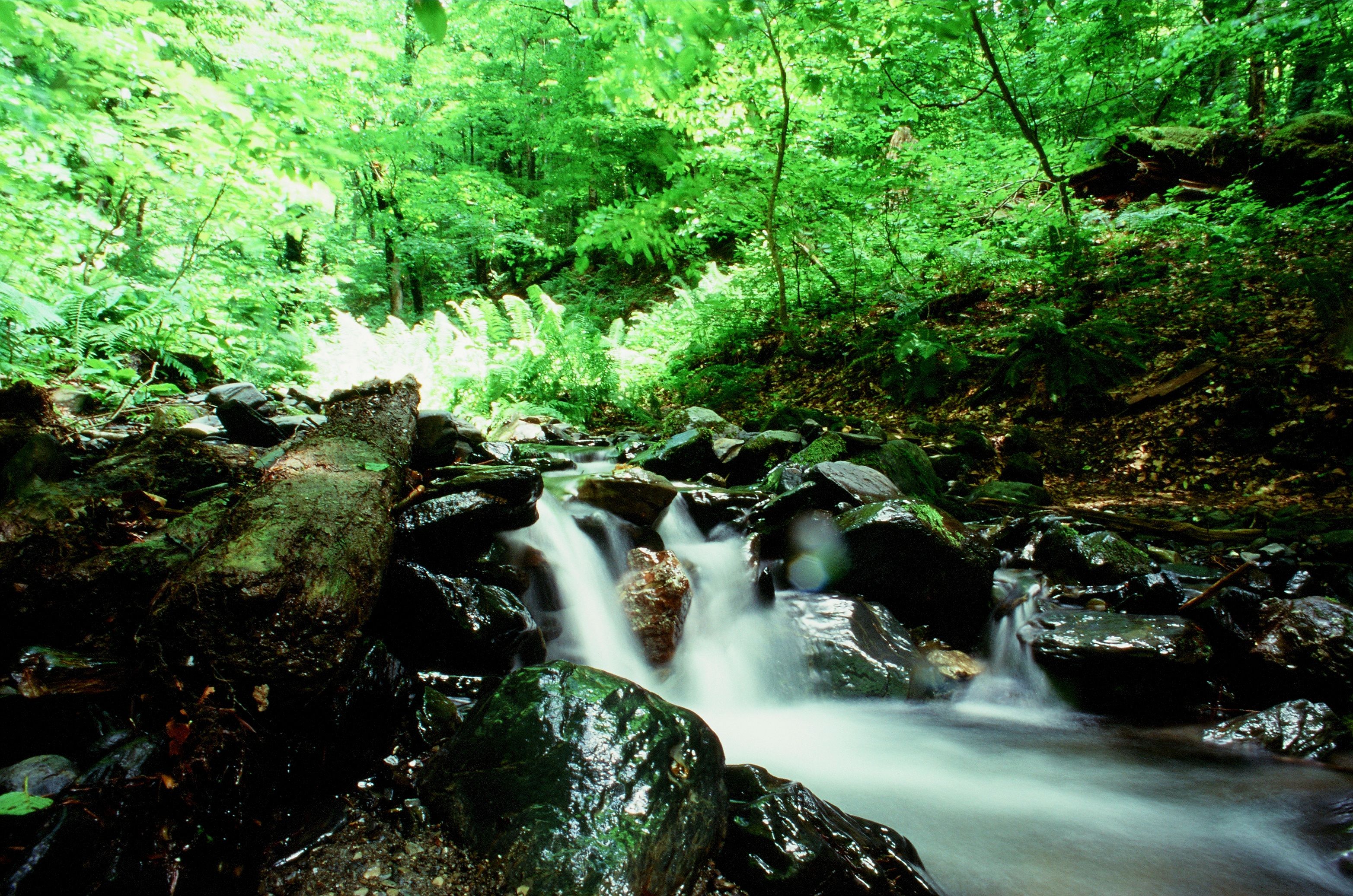 明るい光が差し込む山と湖の景色