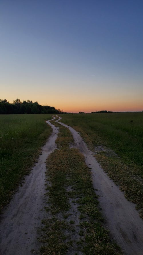 Unpaved Road on Green Grass Field