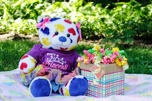 Colorful Teddy Bear Beside Gift Box